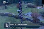 Дворът на вилата на Николай Сотиров