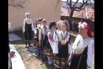 Прогонване на змиите и гущерите