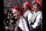Прогонване на змиите и гущерите