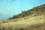 снимка Крив камик