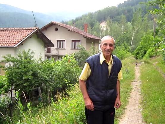 Бичи пред къщата си в Кладница