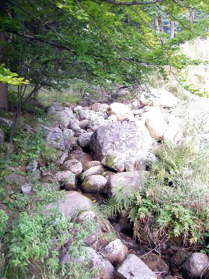 Рекичка