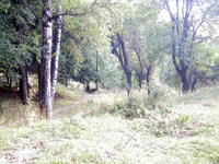 Пейзаж