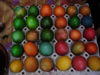 pc030040.jpg