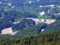 Морени