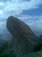 Izobrazhenie090.jpg