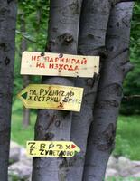 Селимица